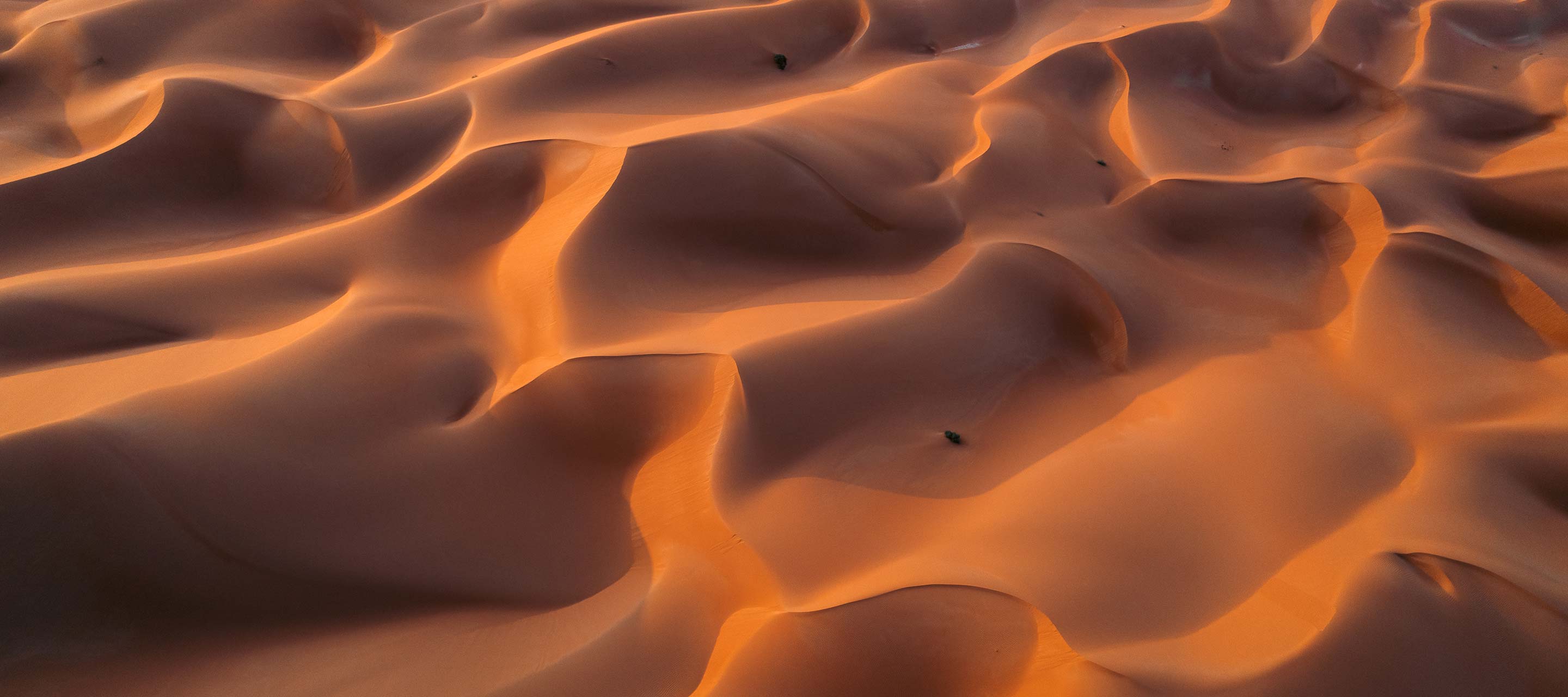 sand dunes