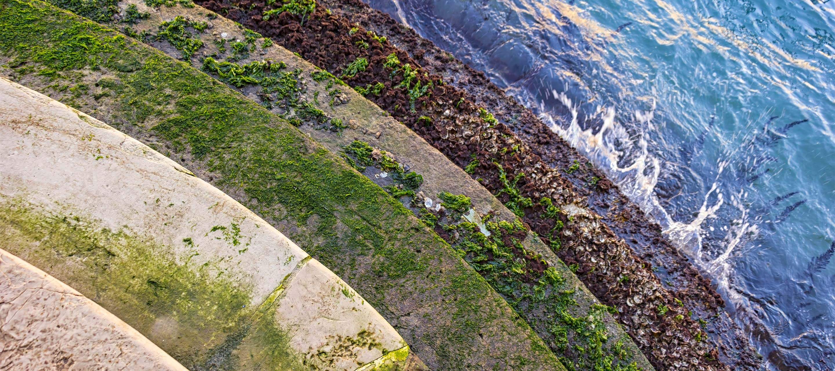 image shows layers of steps, grass, and water