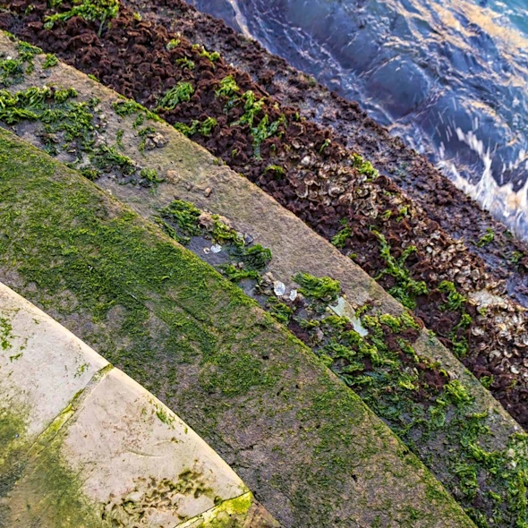 image shows layers of steps, grass, and water