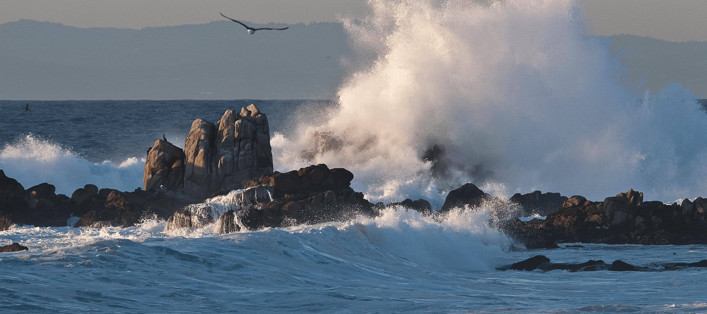 waves crashing against rocks and a bird flying away