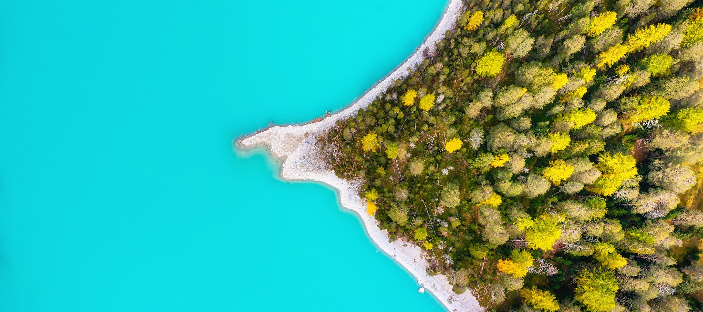 body of blue water and island of trees