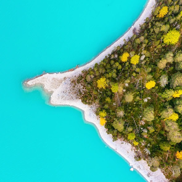 body of blue water and island of trees