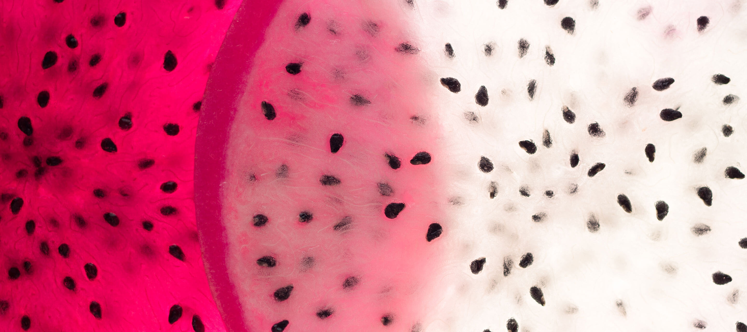 dragon fruit