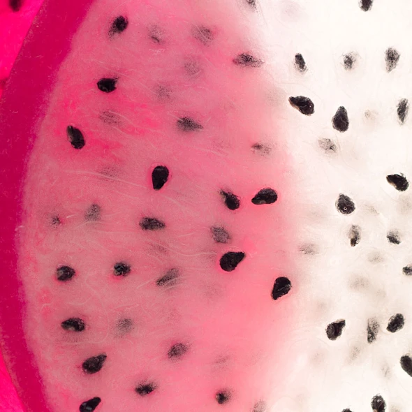 dragon fruit