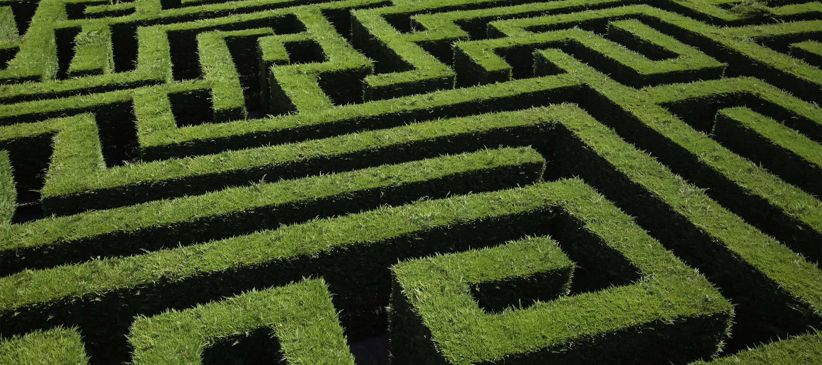 green maze