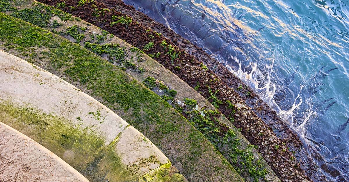 image shows layers of steps, grass, and water