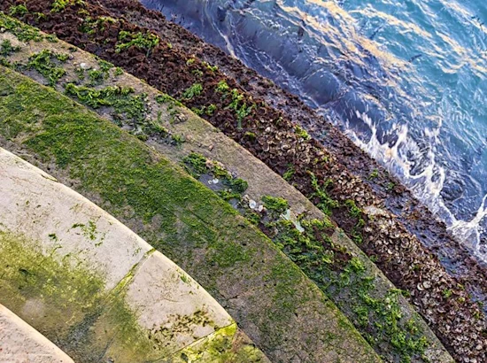 image shows layers of steps, grass, and water