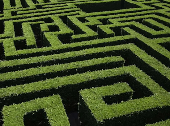 green maze