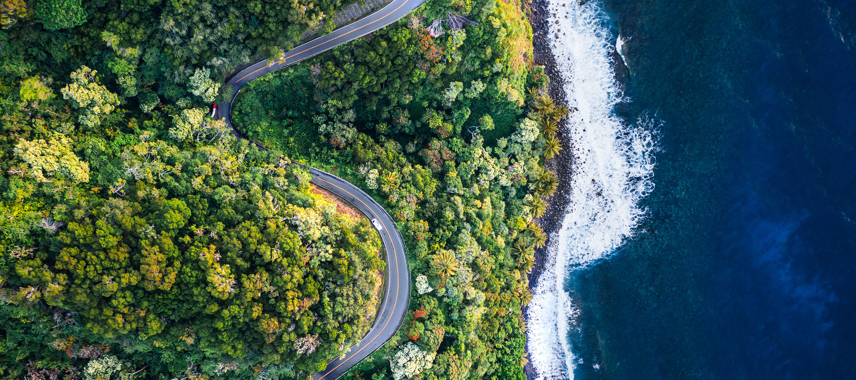 aerial view of forest and windy road by water