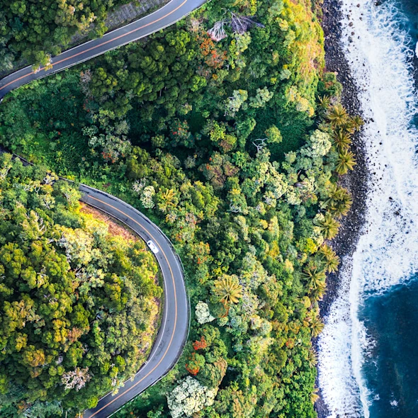 aerial view of forest and windy road by water