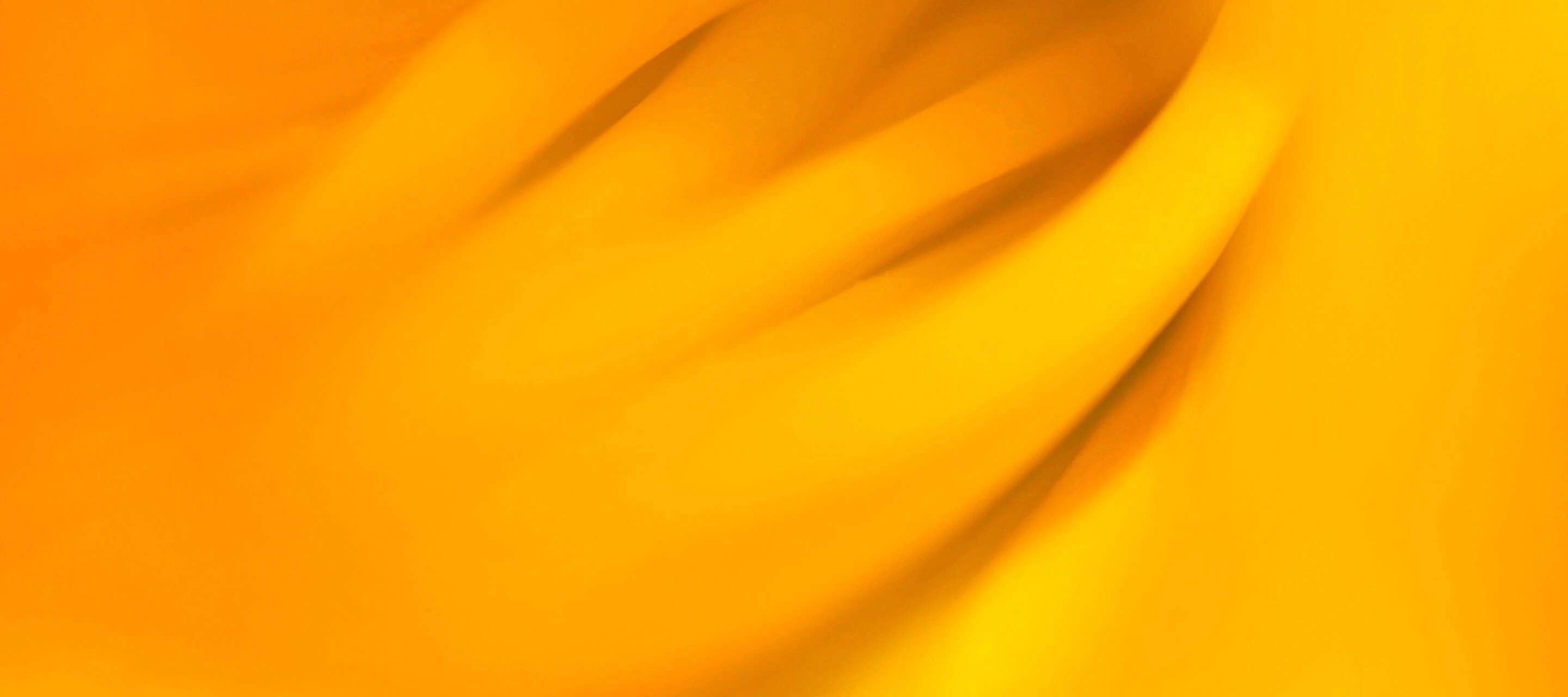 macro image of flower petal