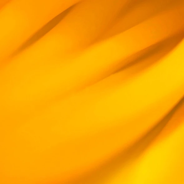 macro image of flower petal