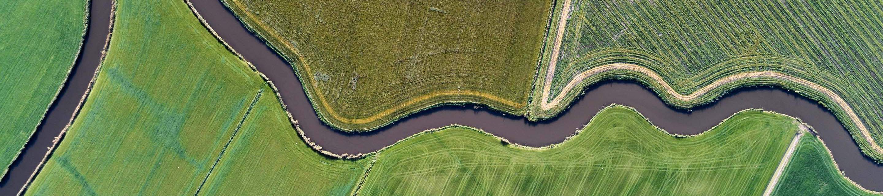 Grasslands separated by a stream