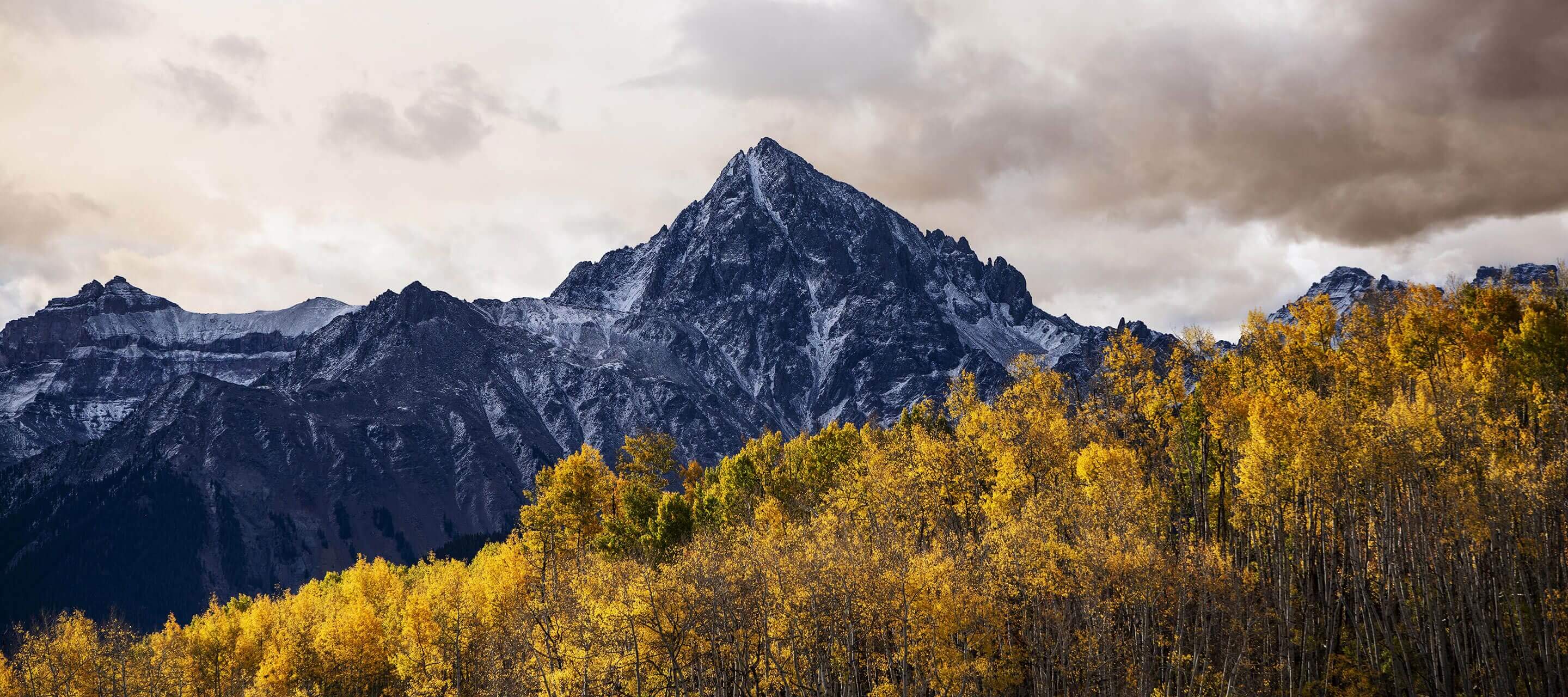 trees and mountain with clouds