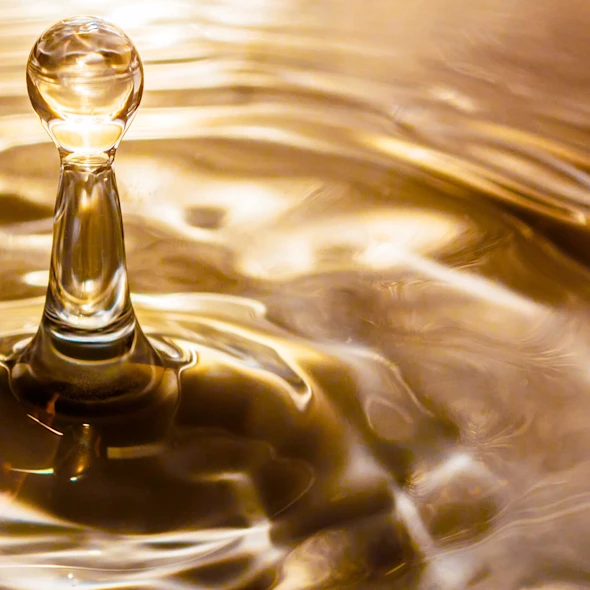 water droplet over sunset