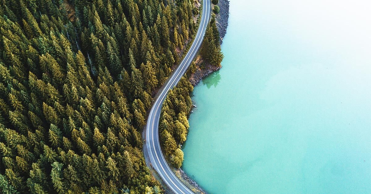 aerial view of tall forest on left side, narrow road in the middle, dividing the forest from blue ocean on right side