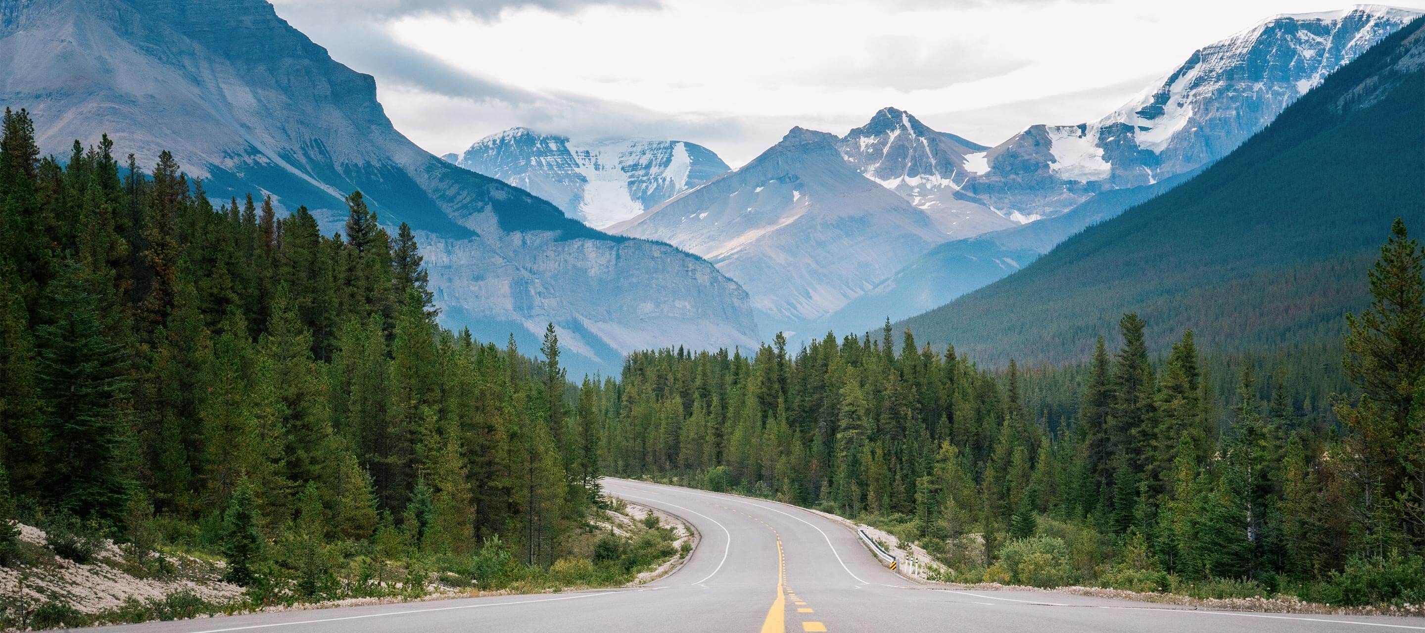 a road surrounded by trees and mountains