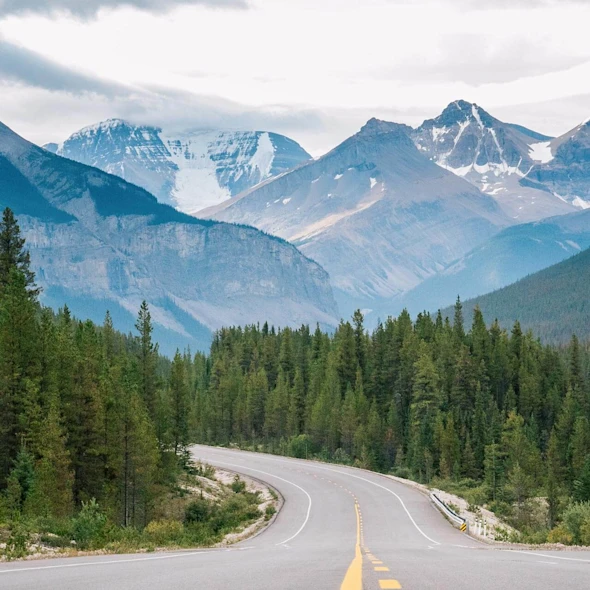 a road surrounded by trees and mountains