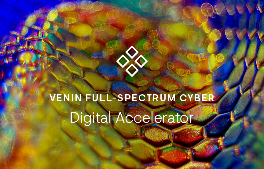 VENIN Full-Spectrum Cyber

Digital Accelerator 
