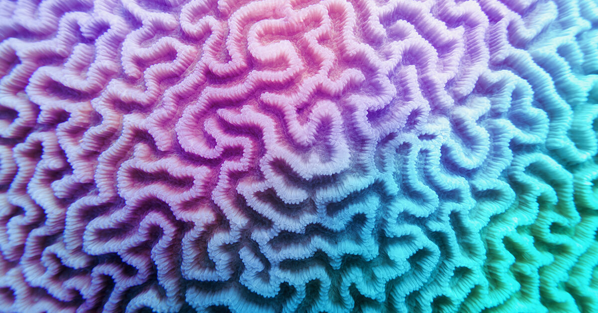 blue and purple coral