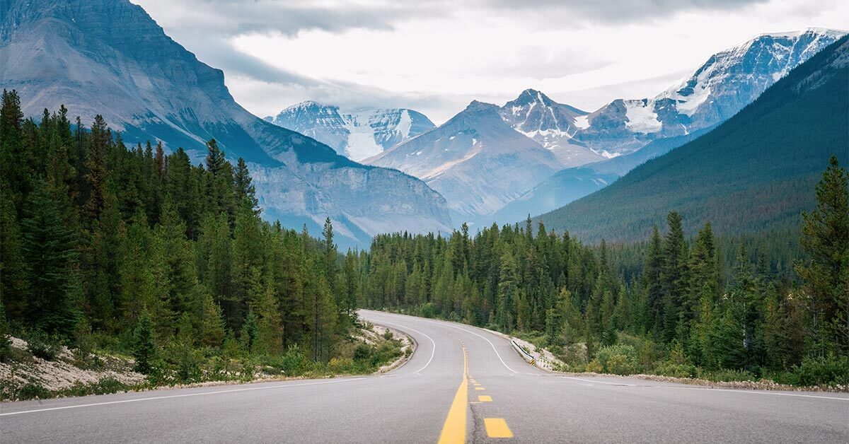 a road surrounded by trees and mountains