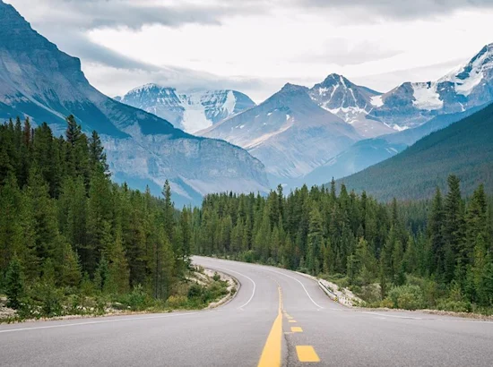 a road surrounded by trees and mountains
