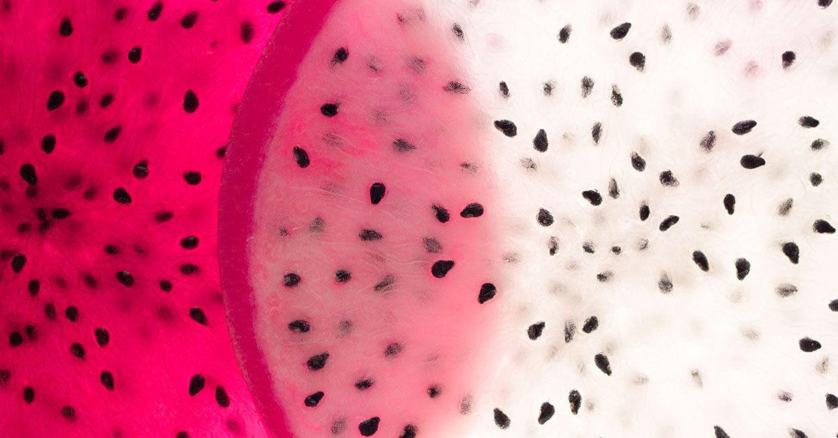 dragon fruit