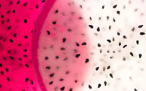 dragon fruit