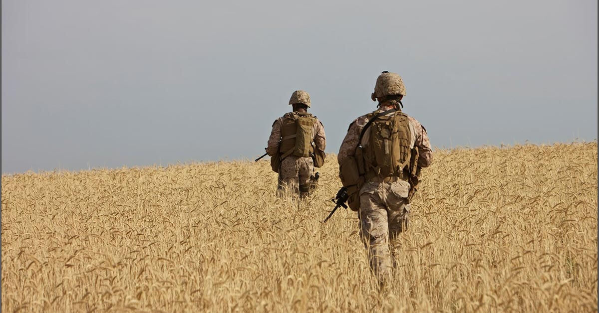 image shows 2 soldiers walking in a wheat field