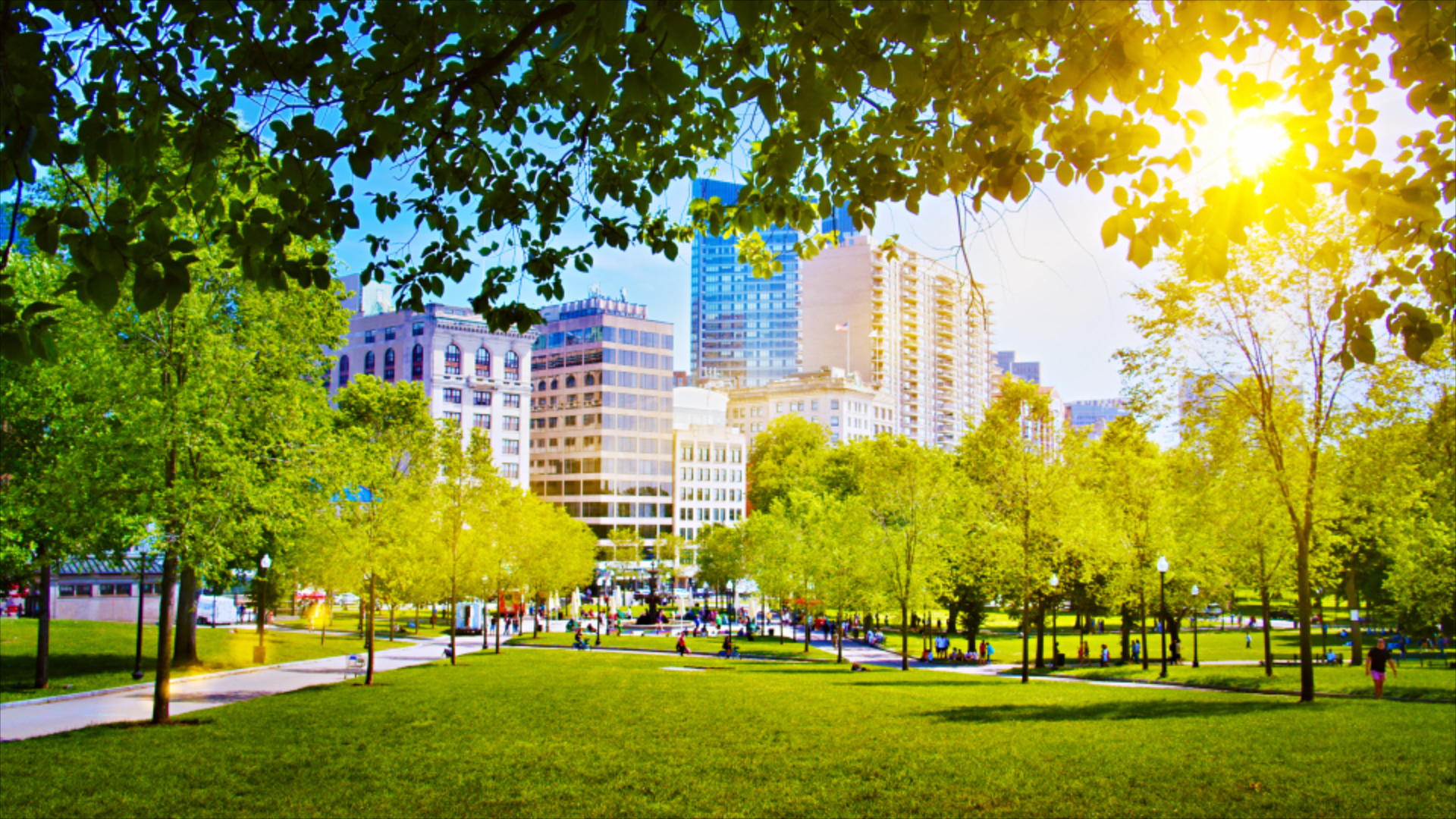 image shows park with buildings in background