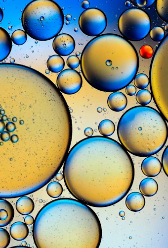bubbles
