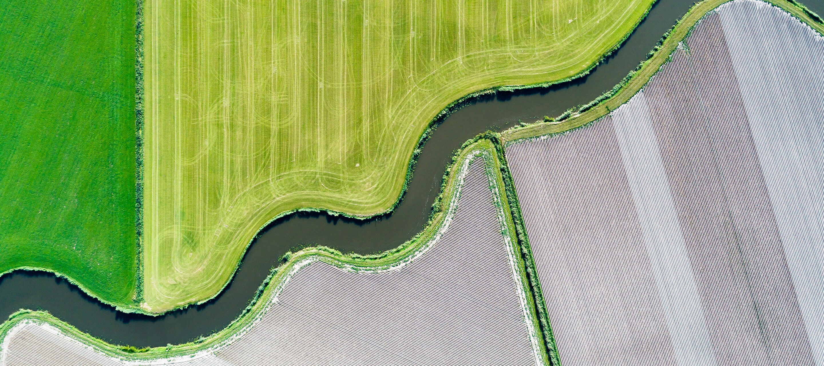 windy road along forest