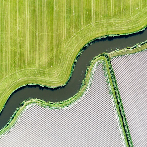 windy road along forest
