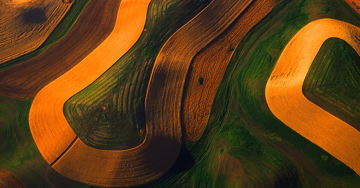 aerial view of golden road