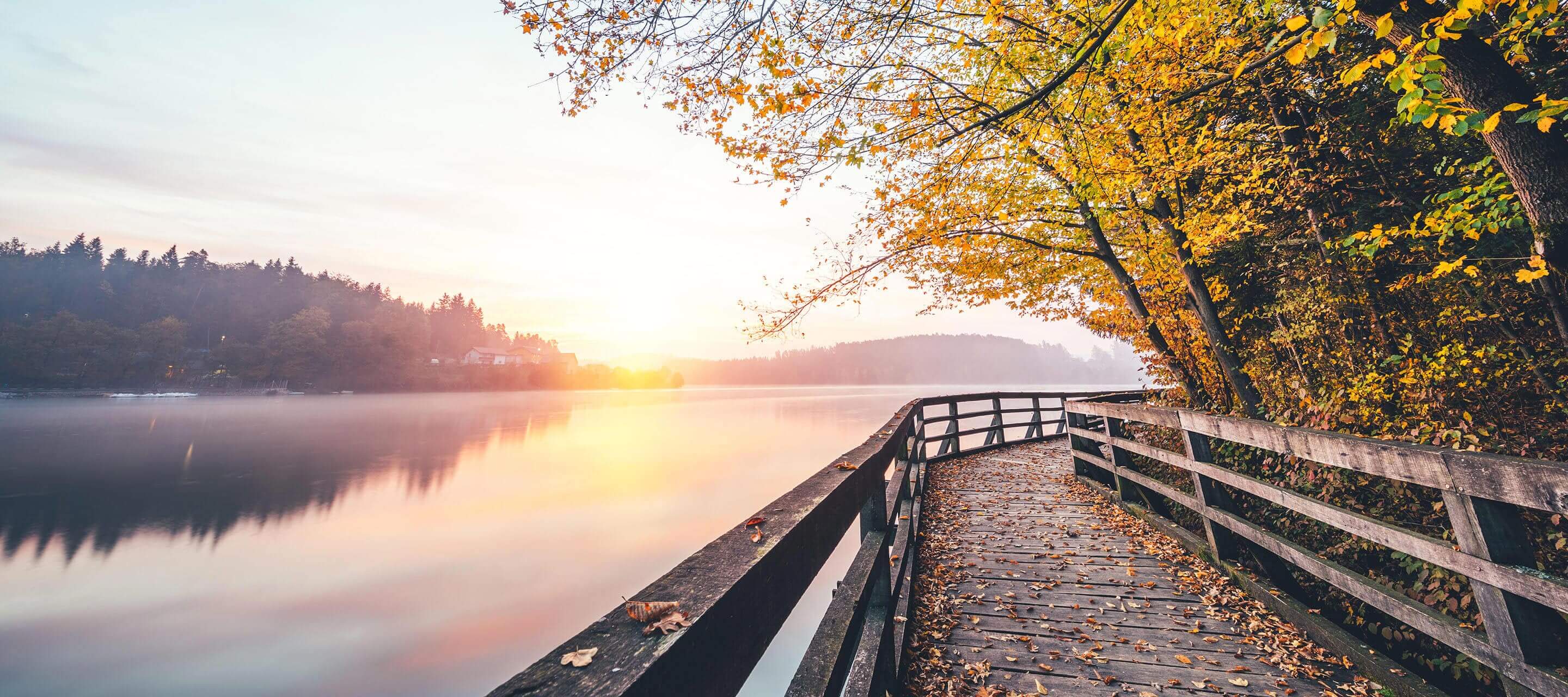 trail with autumn leaves falling by scenic water at sunset