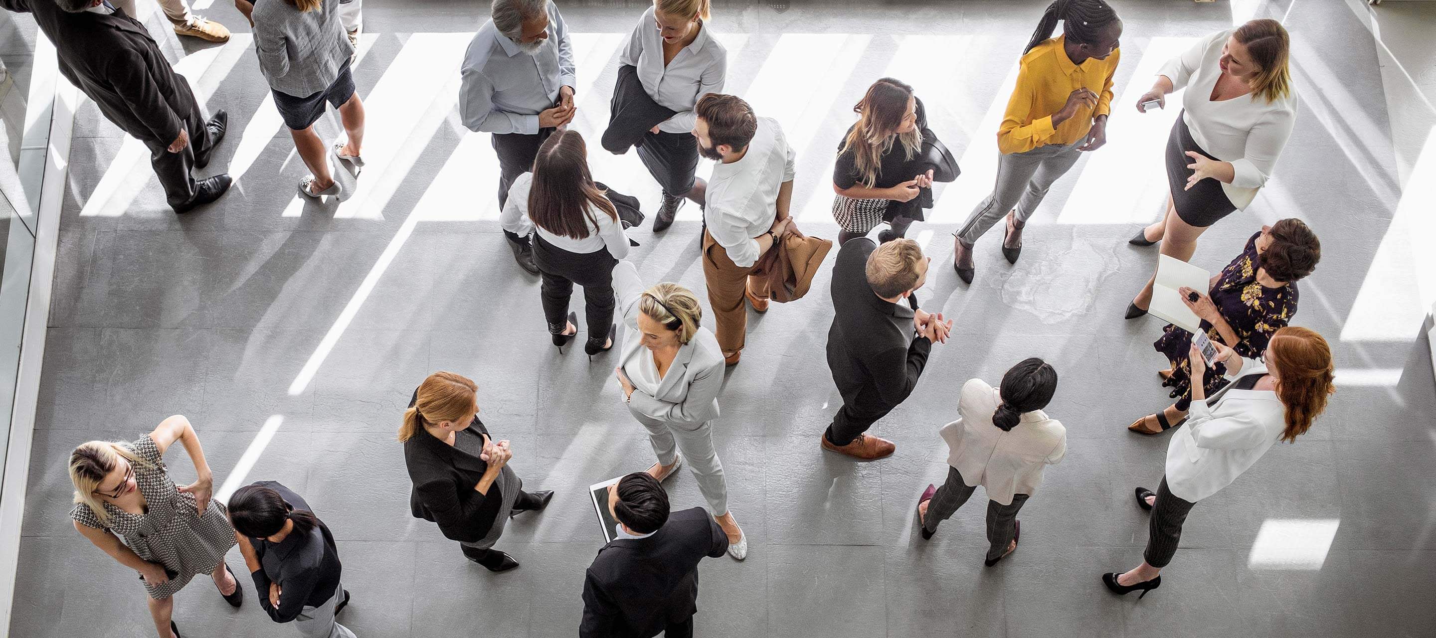 aerial view of people standing around