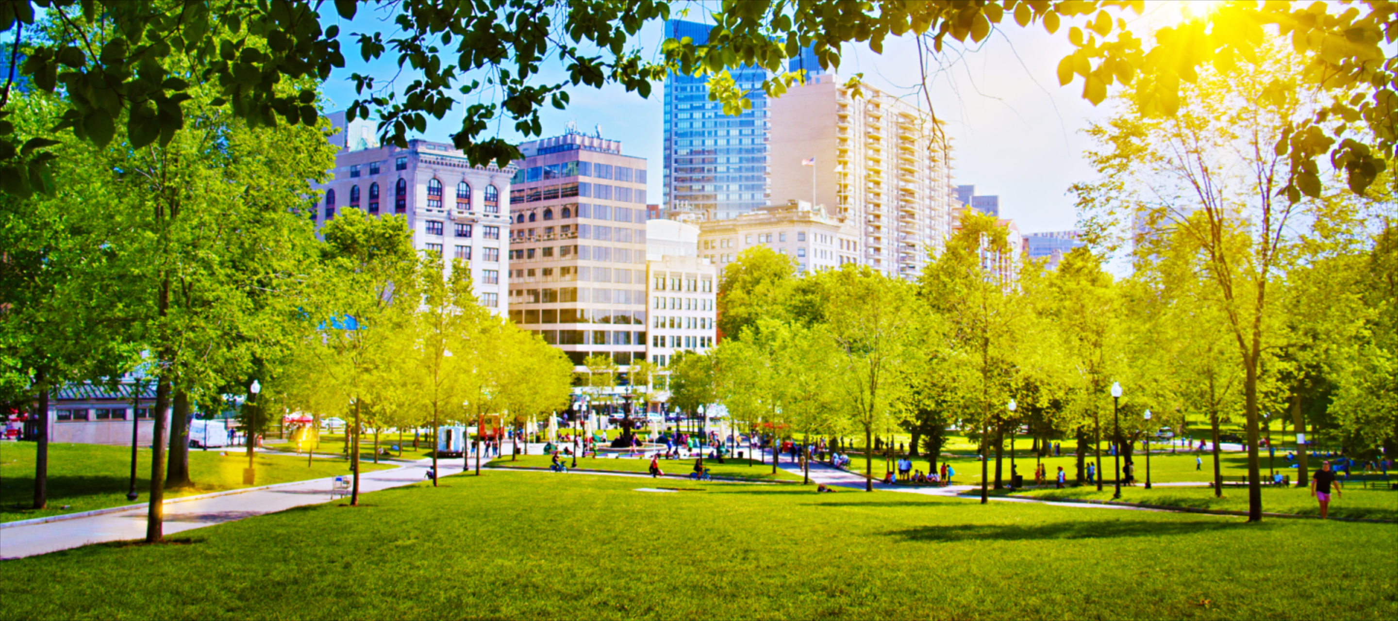 image shows park with buildings in background