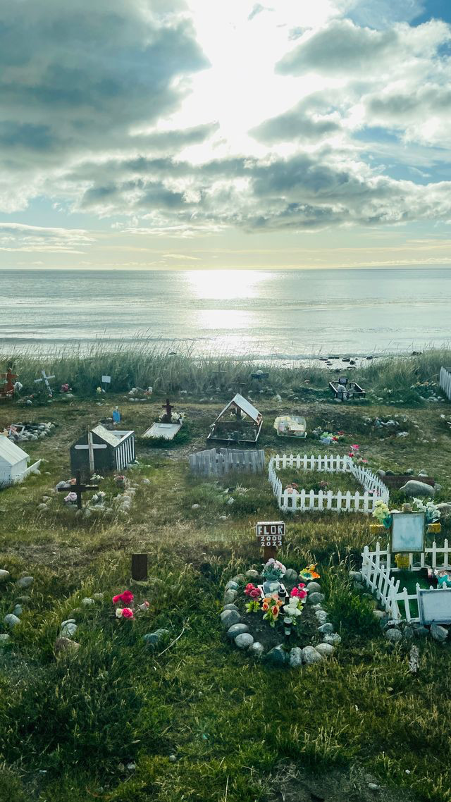 punta arenas pet tomb