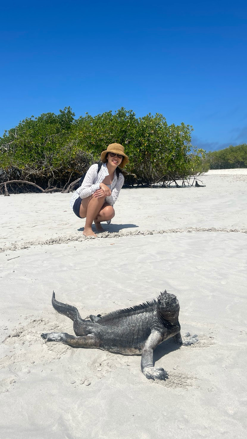 santa cruz iguanas