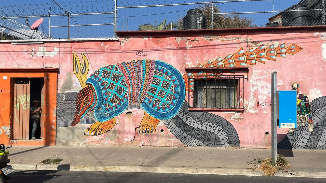 oaxaca street art armardillo