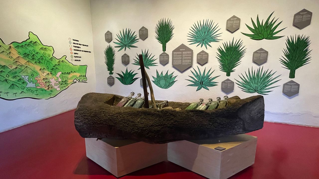 oaxaca mezcal algave