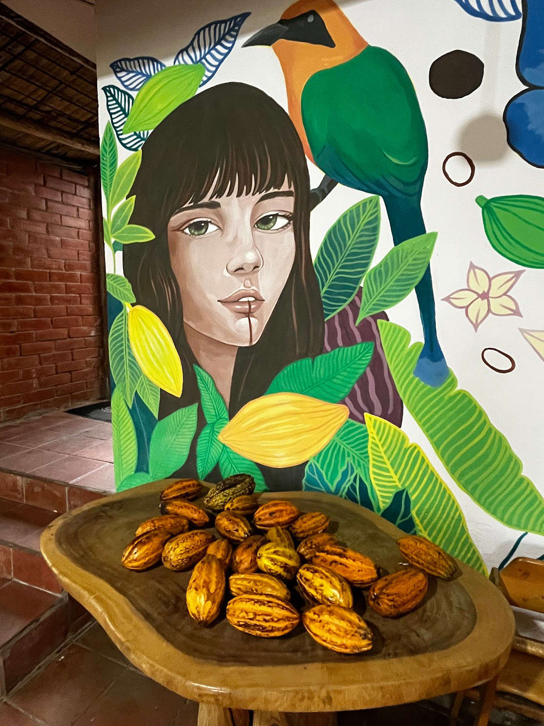 mindo cocoas