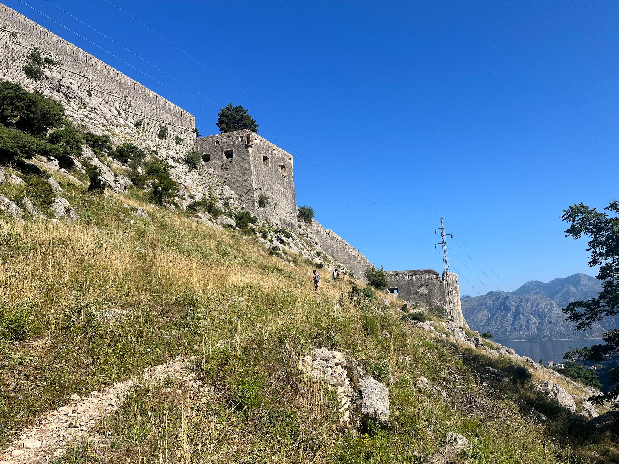 kotor wall