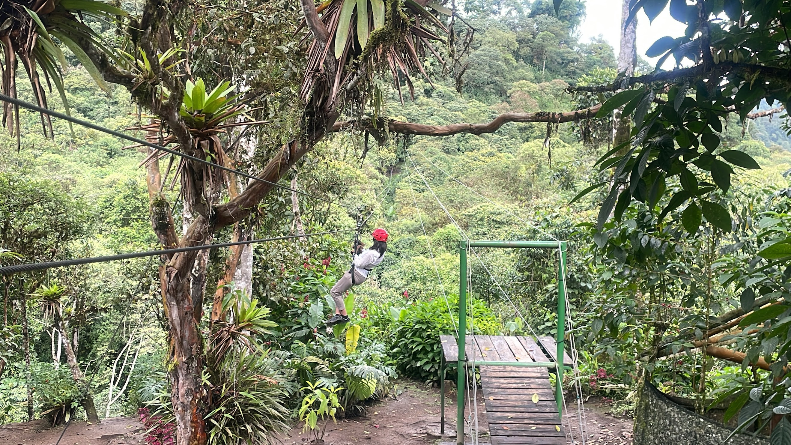 mindo zipline