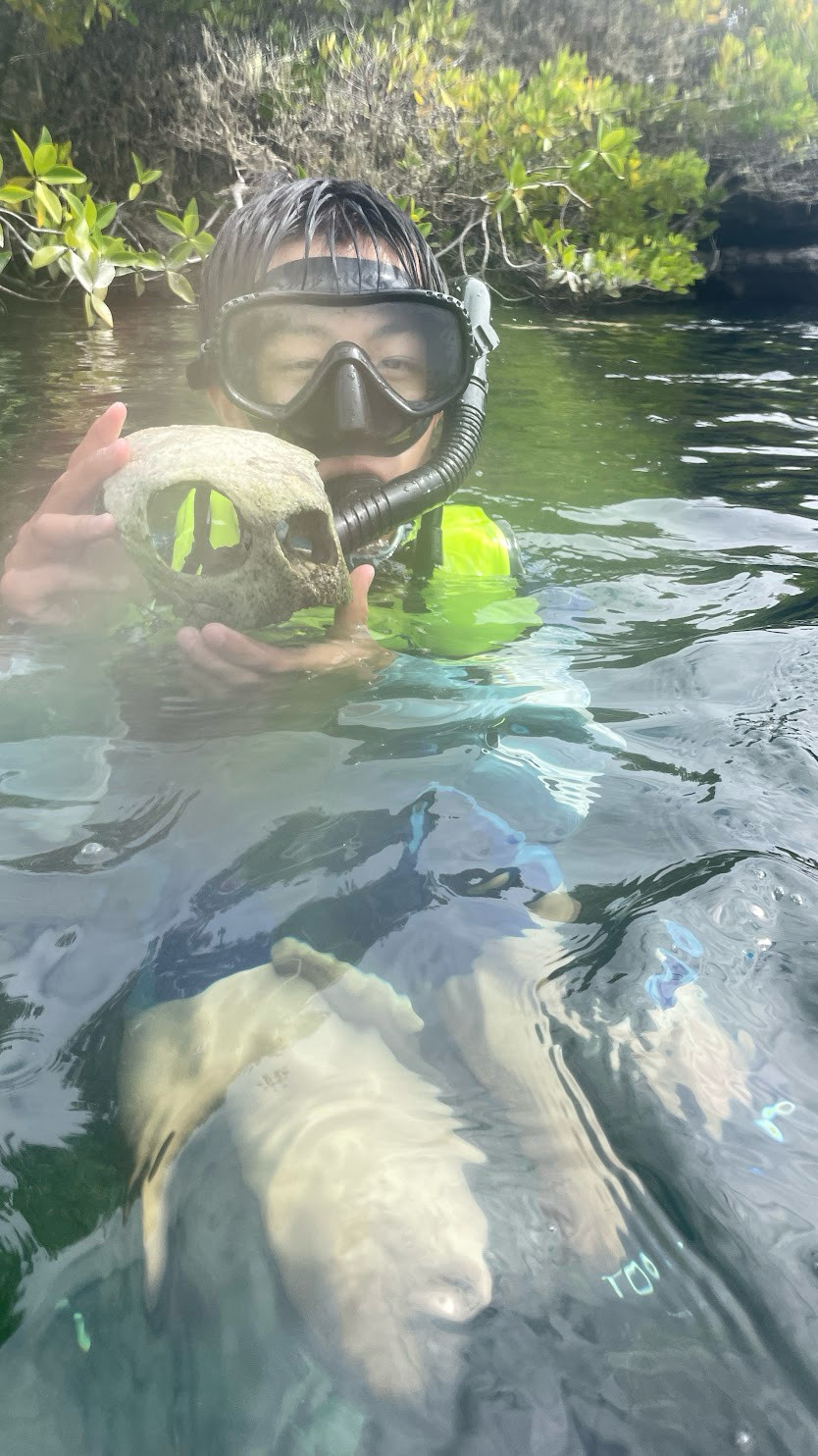 leo and turtle skull