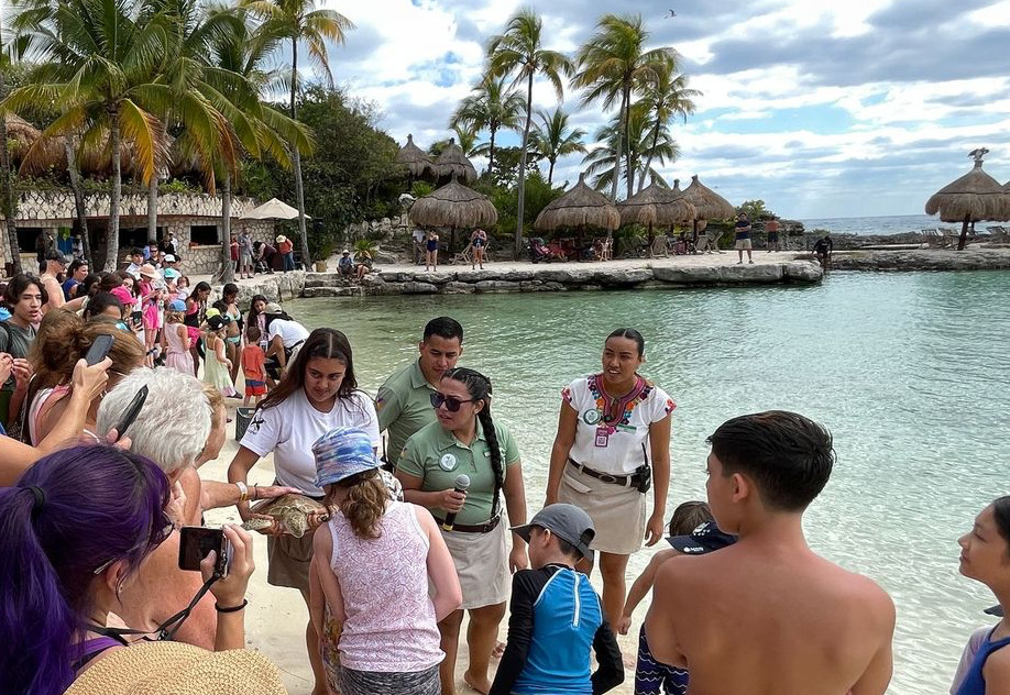 xcaret turtle release