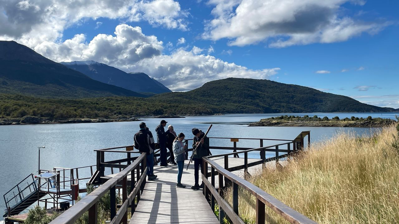 tierra fuego platform