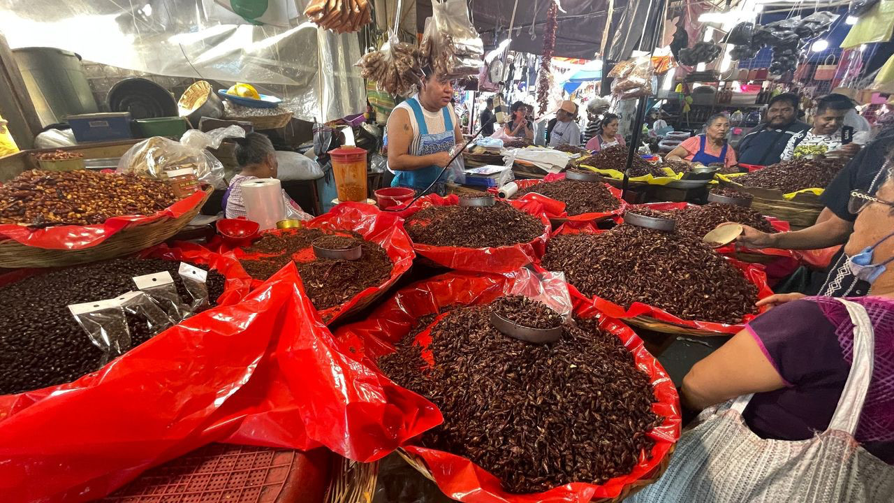 oaxaca market chapulines