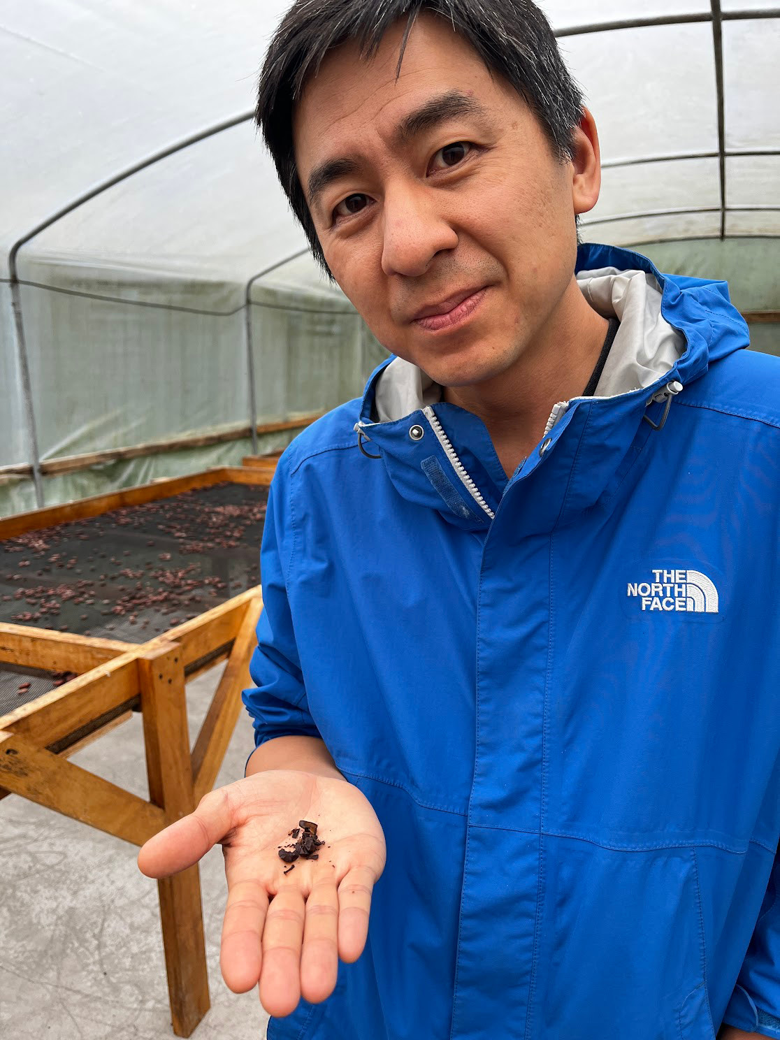 mindo tasting dried cocoa
