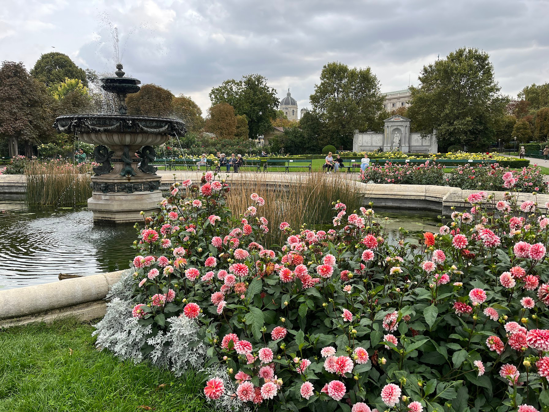 vienna people park flower